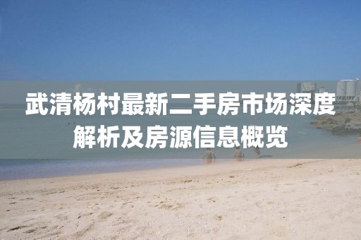 武清楊村最新二手房市場(chǎng)深度解析及房源信息概覽