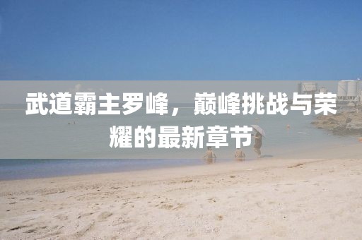 武道霸主羅峰，巔峰挑戰(zhàn)與榮耀的最新章節(jié)