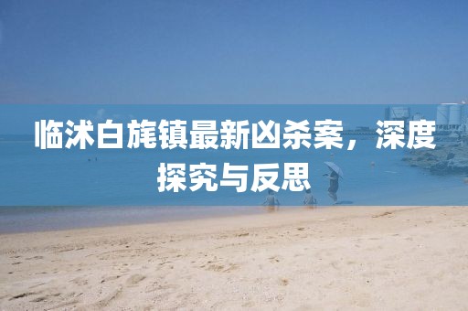 臨沭白旄鎮(zhèn)最新兇殺案，深度探究與反思