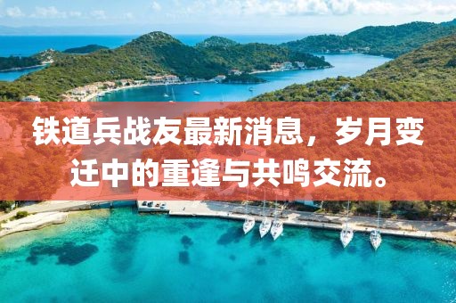 鐵道兵戰(zhàn)友最新消息，歲月變遷中的重逢與共鳴交流。