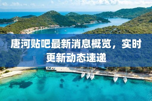 唐河貼吧最新消息概覽，實時更新動態(tài)速遞