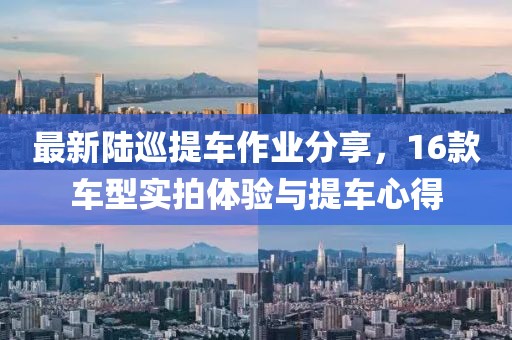 最新陸巡提車(chē)作業(yè)分享，16款車(chē)型實(shí)拍體驗(yàn)與提車(chē)心得