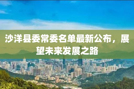 沙洋縣委常委名單最新公布，展望未來發(fā)展之路