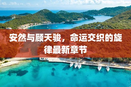 安然與顧天駿，命運交織的旋律最新章節(jié)
