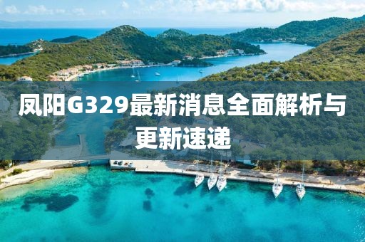 鳳陽(yáng)G329最新消息全面解析與更新速遞