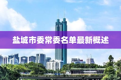 鹽城市委常委名單最新概述