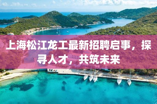 上海松江龍工最新招聘啟事，探尋人才，共筑未來