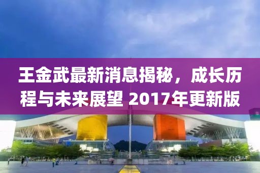 王金武最新消息揭秘，成長歷程與未來展望 2017年更新版