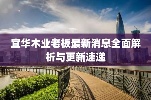 宜華木業(yè)老板最新消息全面解析與更新速遞