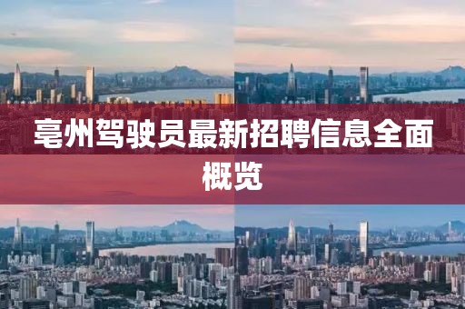 亳州駕駛員最新招聘信息全面概覽