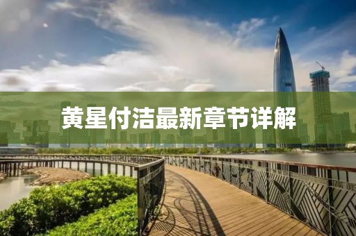 黃星付潔最新章節(jié)詳解