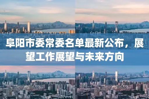阜陽市委常委名單最新公布，展望工作展望與未來方向