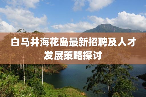 白馬井海花島最新招聘及人才發(fā)展策略探討