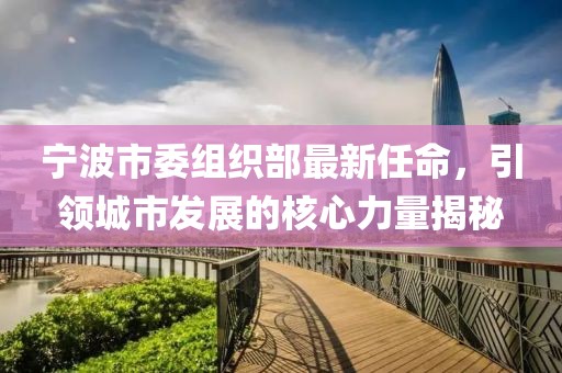寧波市委組織部最新任命，引領(lǐng)城市發(fā)展的核心力量揭秘