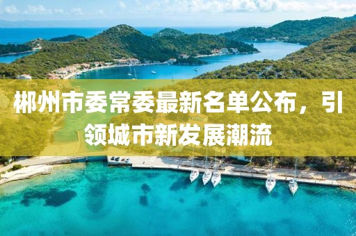 郴州市委常委最新名單公布，引領(lǐng)城市新發(fā)展潮流
