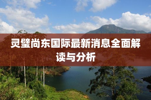 靈璧尚東國際最新消息全面解讀與分析