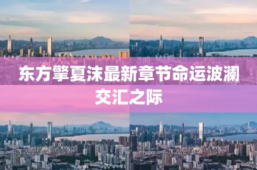 東方擎夏沫最新章節(jié)命運波瀾交匯之際