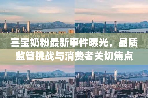 喜寶奶粉最新事件曝光，品質(zhì)監(jiān)管挑戰(zhàn)與消費(fèi)者關(guān)切焦點(diǎn)
