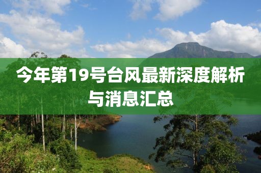 今年第19號臺風(fēng)最新深度解析與消息匯總