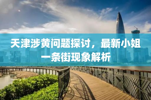 天津涉黃問題探討，最新小姐一條街現(xiàn)象解析