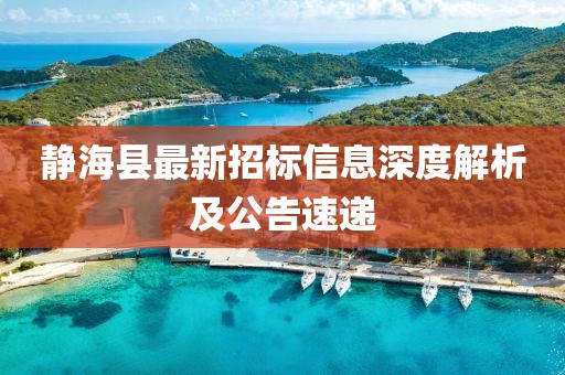 靜?？h最新招標信息深度解析及公告速遞