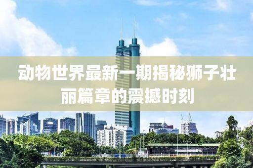 動(dòng)物世界最新一期揭秘獅子壯麗篇章的震撼時(shí)刻