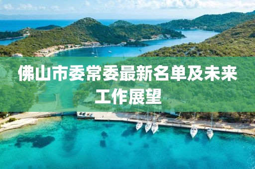 佛山市委常委最新名單及未來(lái)工作展望