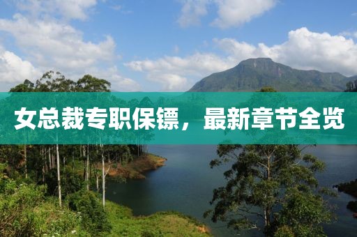 女總裁專職保鏢，最新章節(jié)全覽