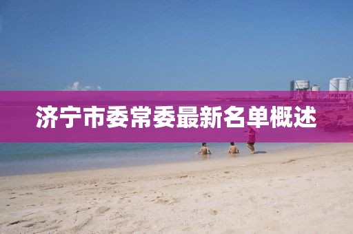 濟(jì)寧市委常委最新名單概述