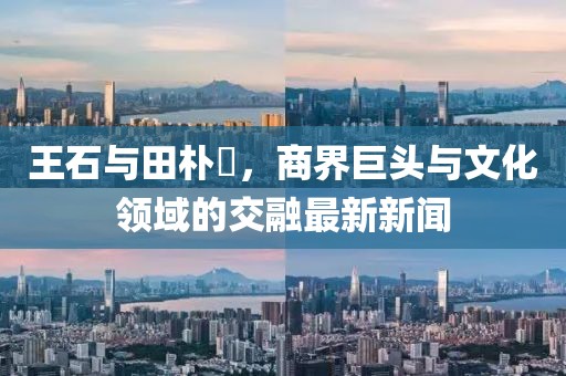 王石與田樸琤，商界巨頭與文化領(lǐng)域的交融最新新聞