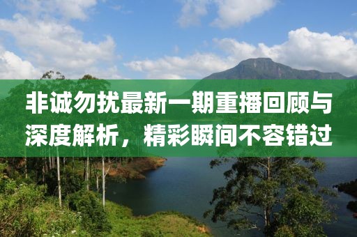 非誠(chéng)勿擾最新一期重播回顧與深度解析，精彩瞬間不容錯(cuò)過