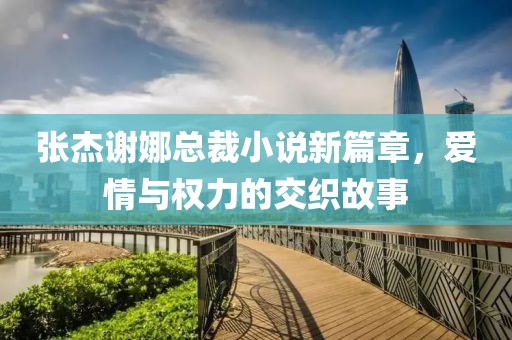 張杰謝娜總裁小說新篇章，愛情與權(quán)力的交織故事