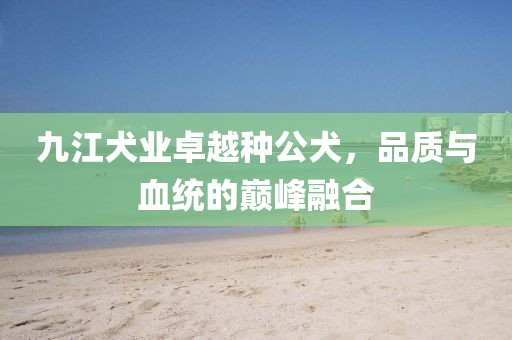 九江犬業(yè)卓越種公犬，品質(zhì)與血統(tǒng)的巔峰融合