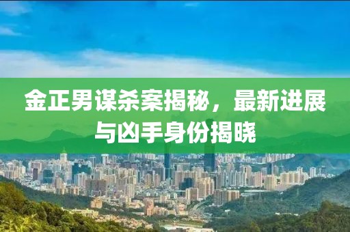 金正男謀殺案揭秘，最新進(jìn)展與兇手身份揭曉