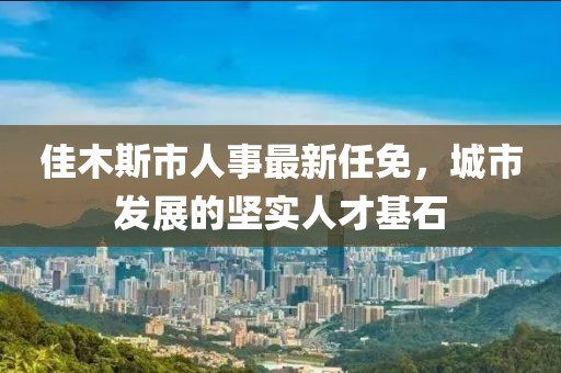 佳木斯市人事最新任免，城市發(fā)展的堅實人才基石