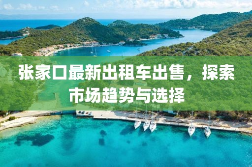 張家口最新出租車出售，探索市場趨勢與選擇