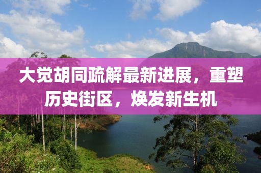 大覺胡同疏解最新進(jìn)展，重塑歷史街區(qū)，煥發(fā)新生機(jī)