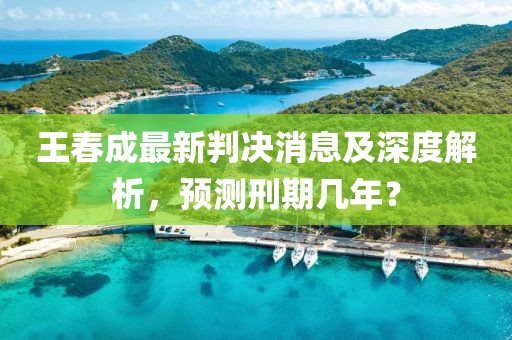 王春成最新判決消息及深度解析，預測刑期幾年？