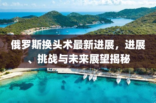 俄羅斯換頭術(shù)最新進展，進展、挑戰(zhàn)與未來展望揭秘