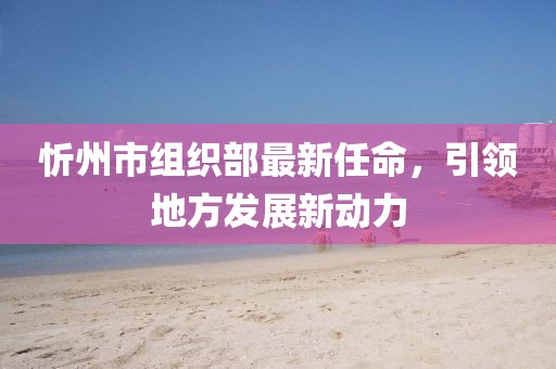 忻州市組織部最新任命，引領(lǐng)地方發(fā)展新動力