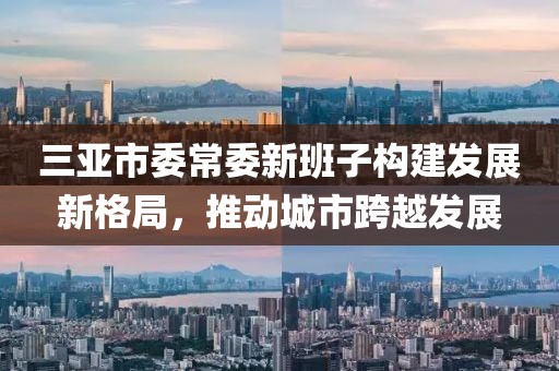 三亞市委常委新班子構(gòu)建發(fā)展新格局，推動(dòng)城市跨越發(fā)展