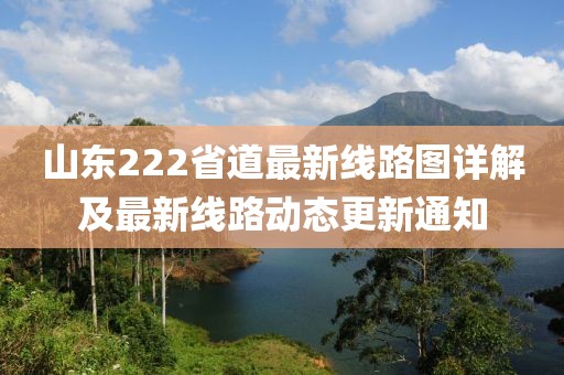 山東222省道最新線路圖詳解及最新線路動(dòng)態(tài)更新通知