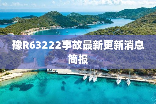 豫R63222事故最新更新消息簡(jiǎn)報(bào)