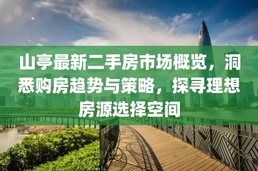 山亭最新二手房市場概覽，洞悉購房趨勢與策略，探尋理想房源選擇空間