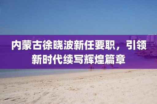 內(nèi)蒙古徐曉波新任要職，引領(lǐng)新時(shí)代續(xù)寫輝煌篇章