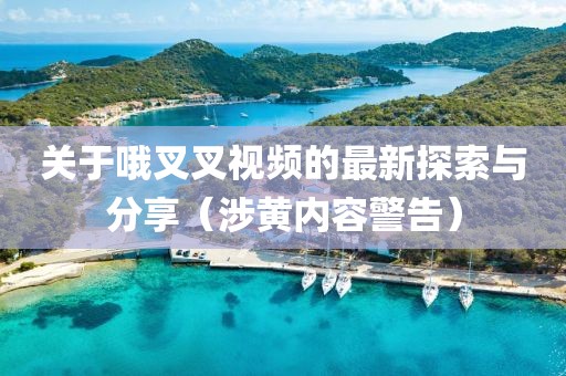 關于哦叉叉視頻的最新探索與分享（涉黃內容警告）