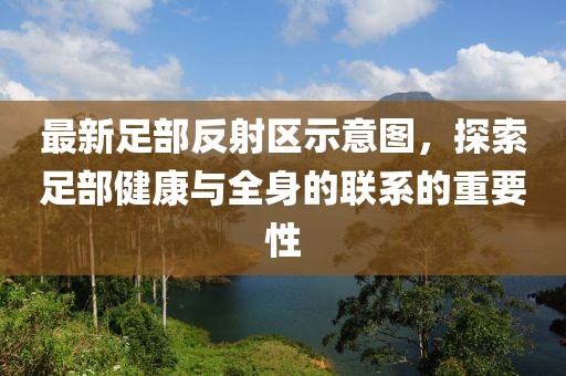 最新足部反射區(qū)示意圖，探索足部健康與全身的聯(lián)系的重要性