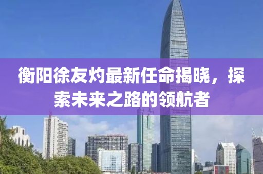 衡陽徐友灼最新任命揭曉，探索未來之路的領(lǐng)航者