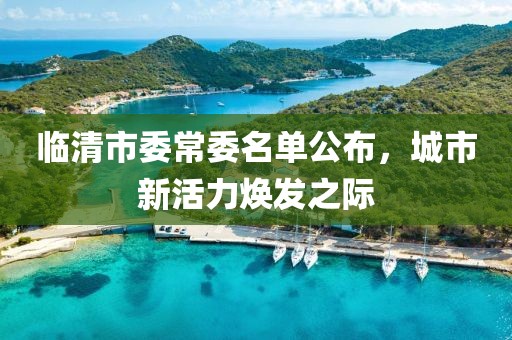 臨清市委常委名單公布，城市新活力煥發(fā)之際