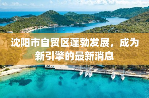 沈陽市自貿(mào)區(qū)蓬勃發(fā)展，成為新引擎的最新消息